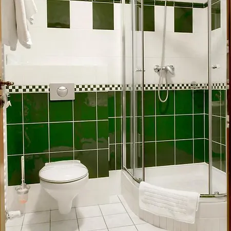 Wellness Hotel Ida Frantiskovy Lazne Room photo