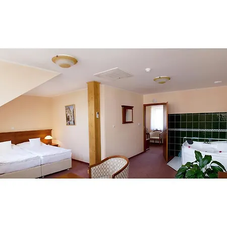 Wellness Hotel Ida Frantiskovy Lazne Room photo