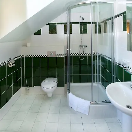 Wellness Hotel Ida Frantiskovy Lazne Room photo